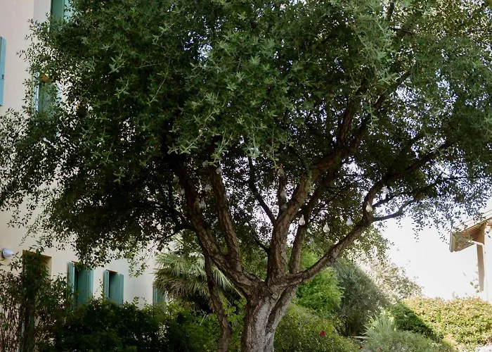Hotel Tenuta Aganis Palazzolo dello Stella
